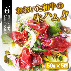 おおいた和牛の贅沢生ハム＆ローストビーフセット計550g_2381R