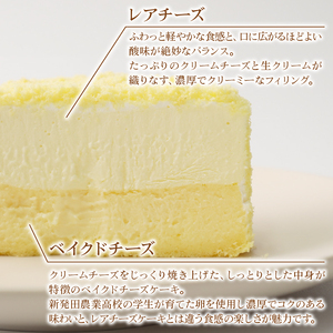 二層の贅沢チーズケーキ チーズケーキ チーズケーキ チーズケーキ 父の日 J88_02