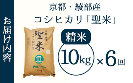【定期便6回】 聖米(白米) 10kg×6回 | 米 お米 こしひかり 白米 精米