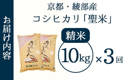 【定期便3回】 丹波美人 白米 10kg（5kg×2）×3回 | 米 お米 こしひかり 白米 精米