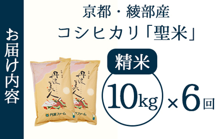 【定期便6回】 丹波美人 白米 10kg（5kg×2）×6回 | 米 お米 こしひかり 白米 精米