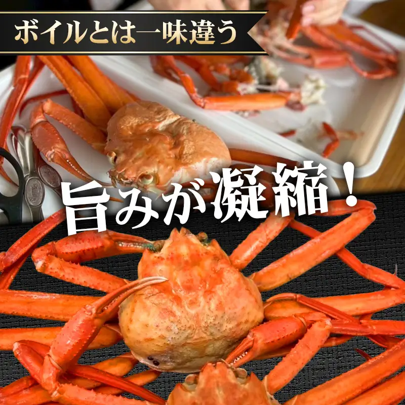 【日本海直送】紅ズワイガニ (450g)2杯 900g 鮮度抜群！蒸しガニ ベニズワイガニ 親不知おさかなセンター【 かに カニ 紅ずわいがに】 