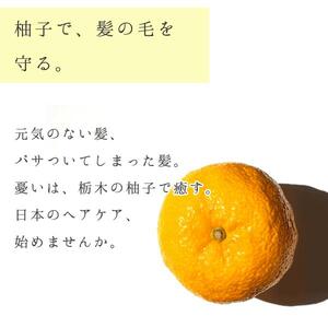 柚子とお米で感じるほのかな和　栃木の柚子　トリートメント(300ml×1本) ns047-005