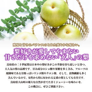 DS-24　二十世紀梨　3kg