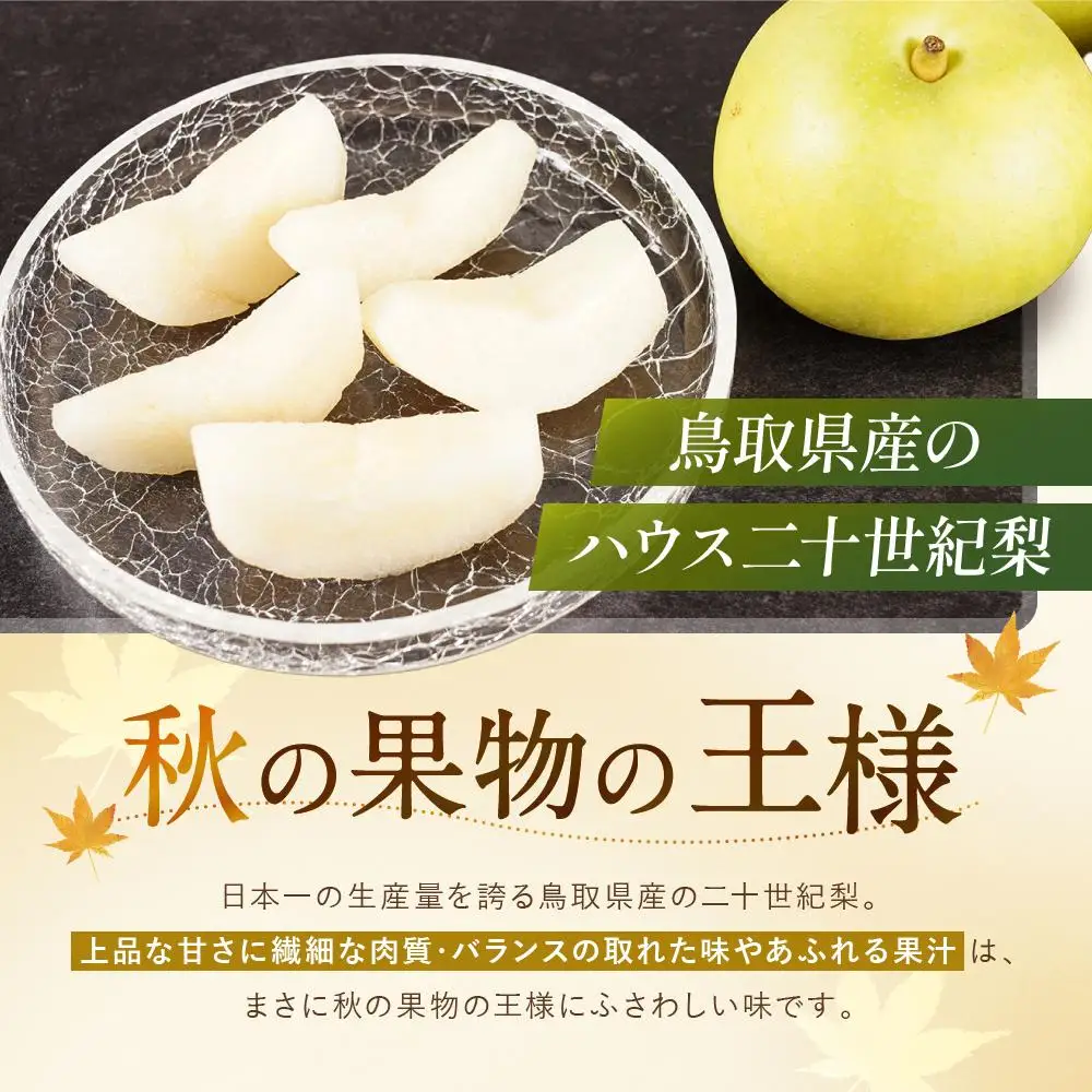 【先行予約】数量限定 鳥取県産梨 ハウス二十世紀梨 2kg（5～6玉）
