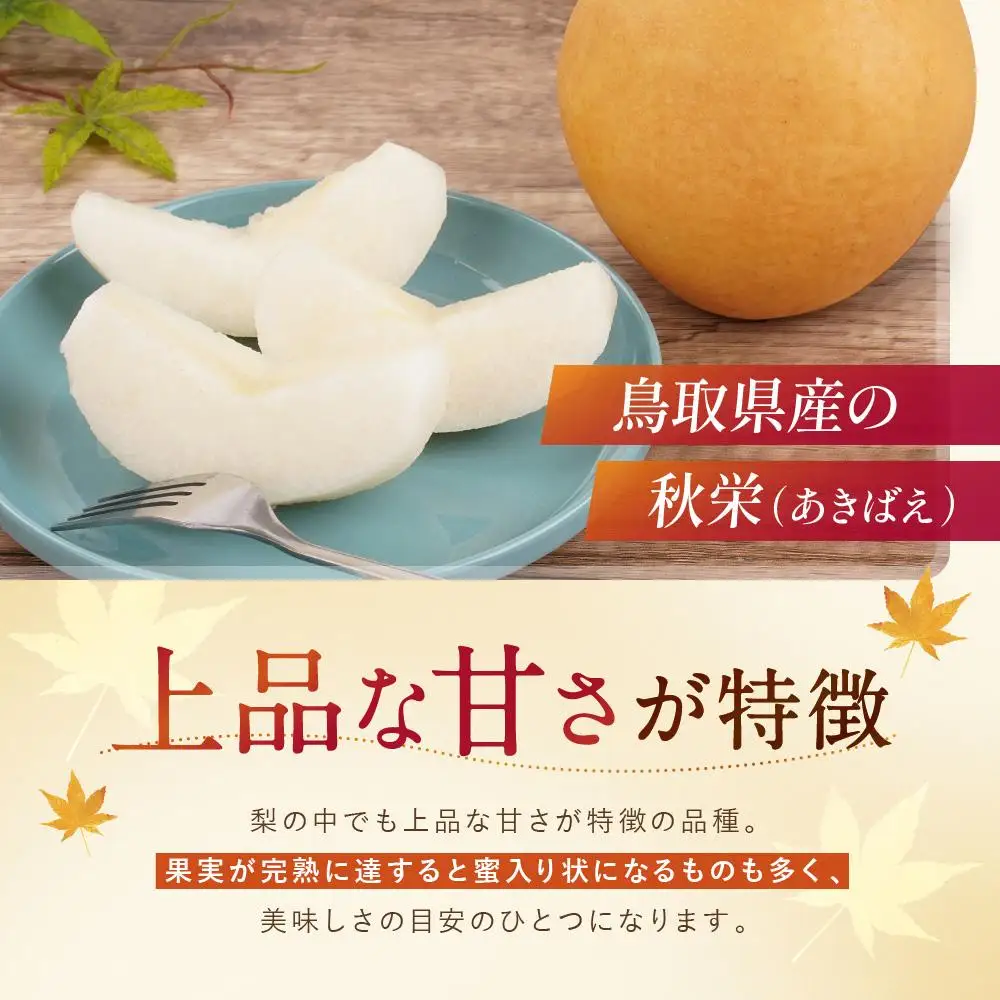 数量限定 鳥取県産梨 秋栄（あきばえ） 5kg（12～16玉）|梨