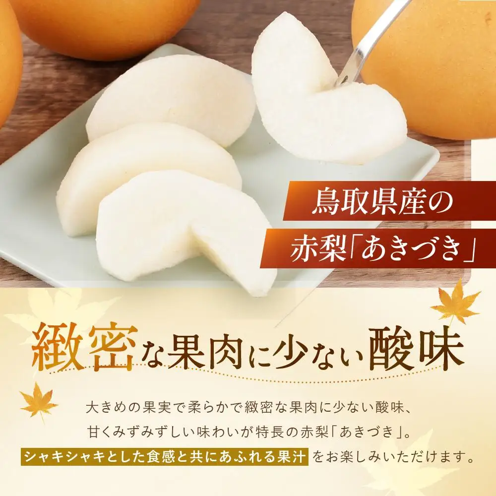 数量限定 鳥取県産梨 あきづき 5kg（10～12玉）|梨