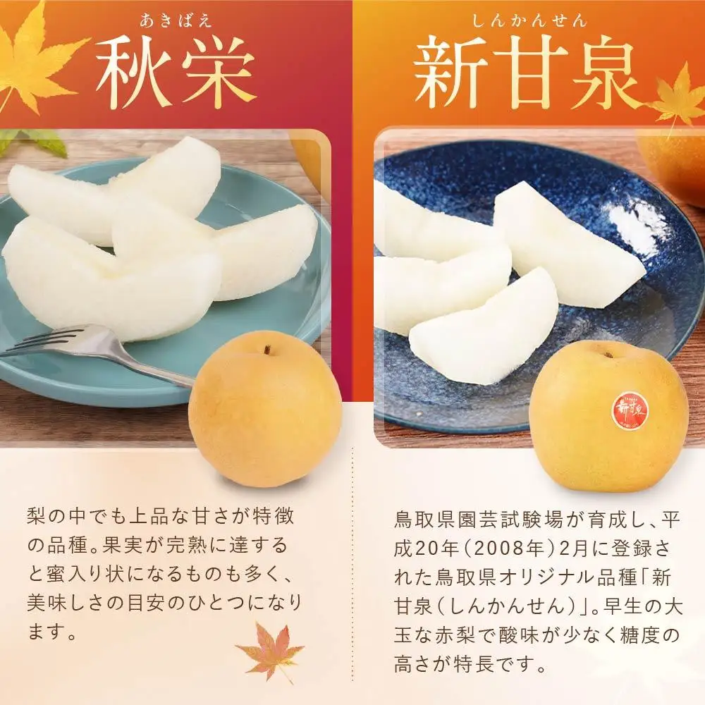 数量限定【定期便】鳥取県産 梨の食べ比べ 4種類コース|梨