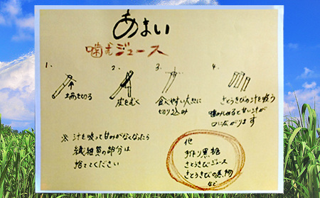 屋我地島のサトウキビ　約2kg 珍しい みやげ 沖縄 おきなわ 短冊型 自然 甘み イネ科 ミネラル 食物繊維 さとうきび 果汁 エネルギー カルシウム マグネシウム 鉄 サトウキビ ビタミン ポリフェノール フラボノイド