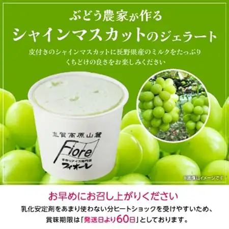 信州なかの　手作りジェラート2種セット(10個入り)【配送不可地域：離島】【1204751】