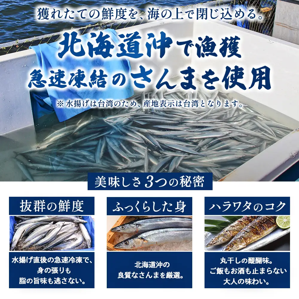 干物 さんま丸干し 20本 干物【uosk0016A】