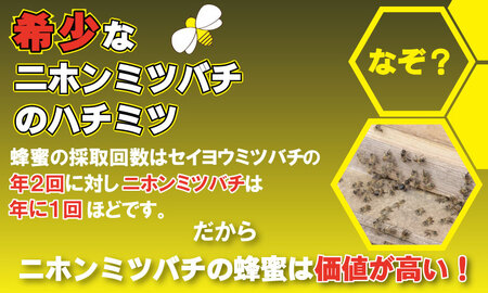 はちみつ 日本蜜蜂 百花蜜 500g B120-080 はちみつ 国産