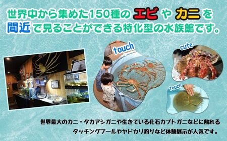 ＼たくさんの生物と触れ合える♪／　エビとカニの水族館 10名様チケット【ebk004】
