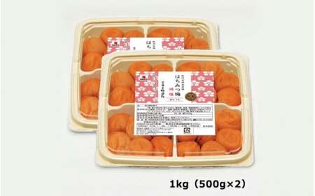【3カ月定期便】紀州南高梅 はちみつ梅 減塩（塩分3％）1kg(500g×2) / A級品 和歌山 田辺市 紀州南高梅 南高梅 梅干し 梅干 梅 はちみつ梅 減塩 塩分控えめ 【nkt021-tk】