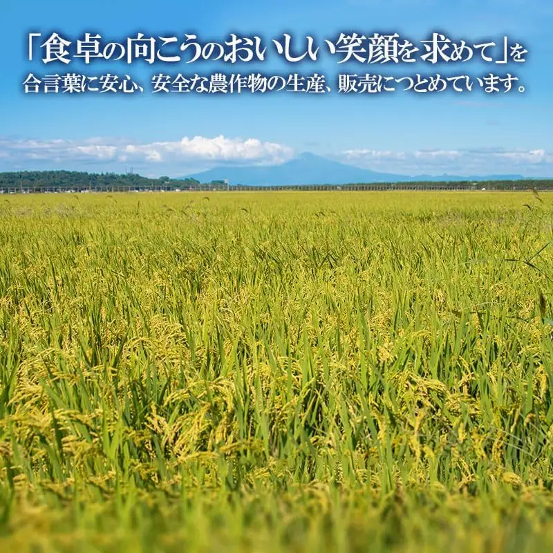 【令和7年産】 馬町さくらファームのつや姫 玄米 10kg（5kg×2袋）特別栽培米　山形県鶴岡市　K-761　| 米 つやひめ お米 10キロ コメ こめ ご飯 ごはん ブランド米 米どころ 庄内米 国産 美味しい お取り寄せ 農家直送 お弁当 おにぎり おすすめ 人気 返礼品