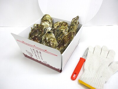【2026年11月より発送】蒸し牡蠣 セット 約10個  (約700g) 