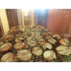 【苫屋の燻製】大槌のホタテ貝燻製 S 40g×3個セット