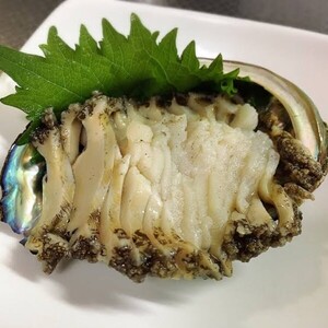 【2026年11月～12月発送】アワビ 約3kg (20個前後) ※アワビヘラ＆軍手付き※【期間限定】【35】｜冷蔵 三陸 岩手県 大槌町 あわび 人気 鮑 刺身 いわて iwate 2026 初栄丸