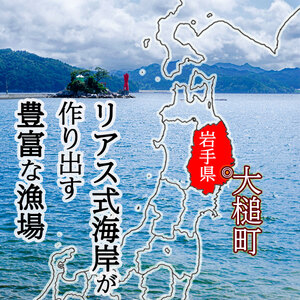 自家製 いか塩辛 360g ( 90g × 4個 )