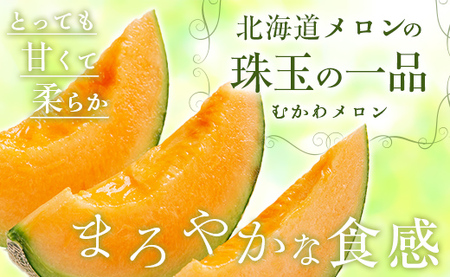 ＜2026年7月より発送＞＜先行受付＞ほべつメロン2玉(約1.6Kg×2玉)＜むかわ町穂別特産品＞ MKWR002