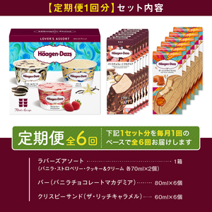 ＜全6回定期便・連続＞ハーゲンダッツ『3種の贅沢ギフトセット(合計108個)』アイスクリーム アイス スイーツ デザート ミルクアイス アイススイーツ アイスデザート_H0016-143