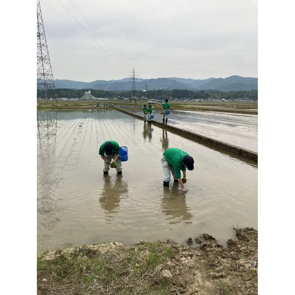 長岡農業高校生が育てた米で醸したお酒 720ml×1本　新潟　新潟県　大吟醸　日本酒