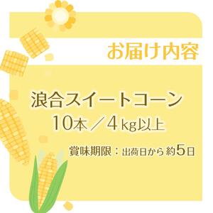【先行予約】浪合スイートコーン | 野菜 とうもろこし トウモロコシ コーン 信州 長野