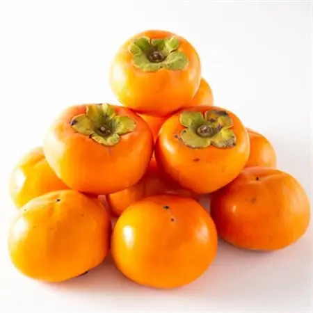 和歌山県産　美濃農園の富有柿　ご家庭用　12個(2Lサイズ程度)_果物・フルーツ 柿（カキ）  かき_【配送不可地域：離島・北海道・沖縄県】【1253533】