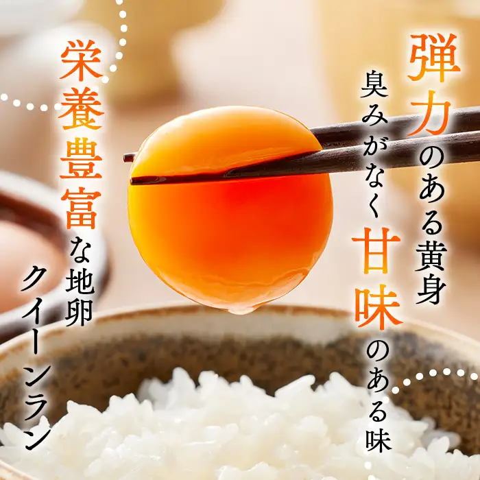 黄身がつかめる新鮮地たまごクイーンラン 赤玉50個入《定期便3ヶ月