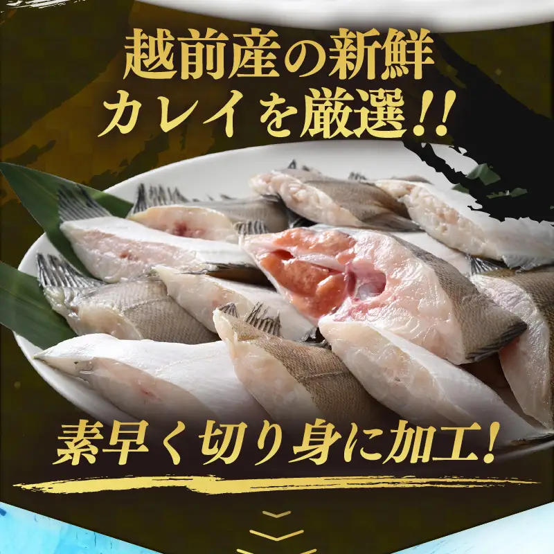 越前産 カレイ 切り身 合計2kg（1kg×2袋） 煮付け 肉厚な切り身かれい （無塩）【 魚 煮魚 切身 魚の切り身 煮付け 】 [e15-a032]