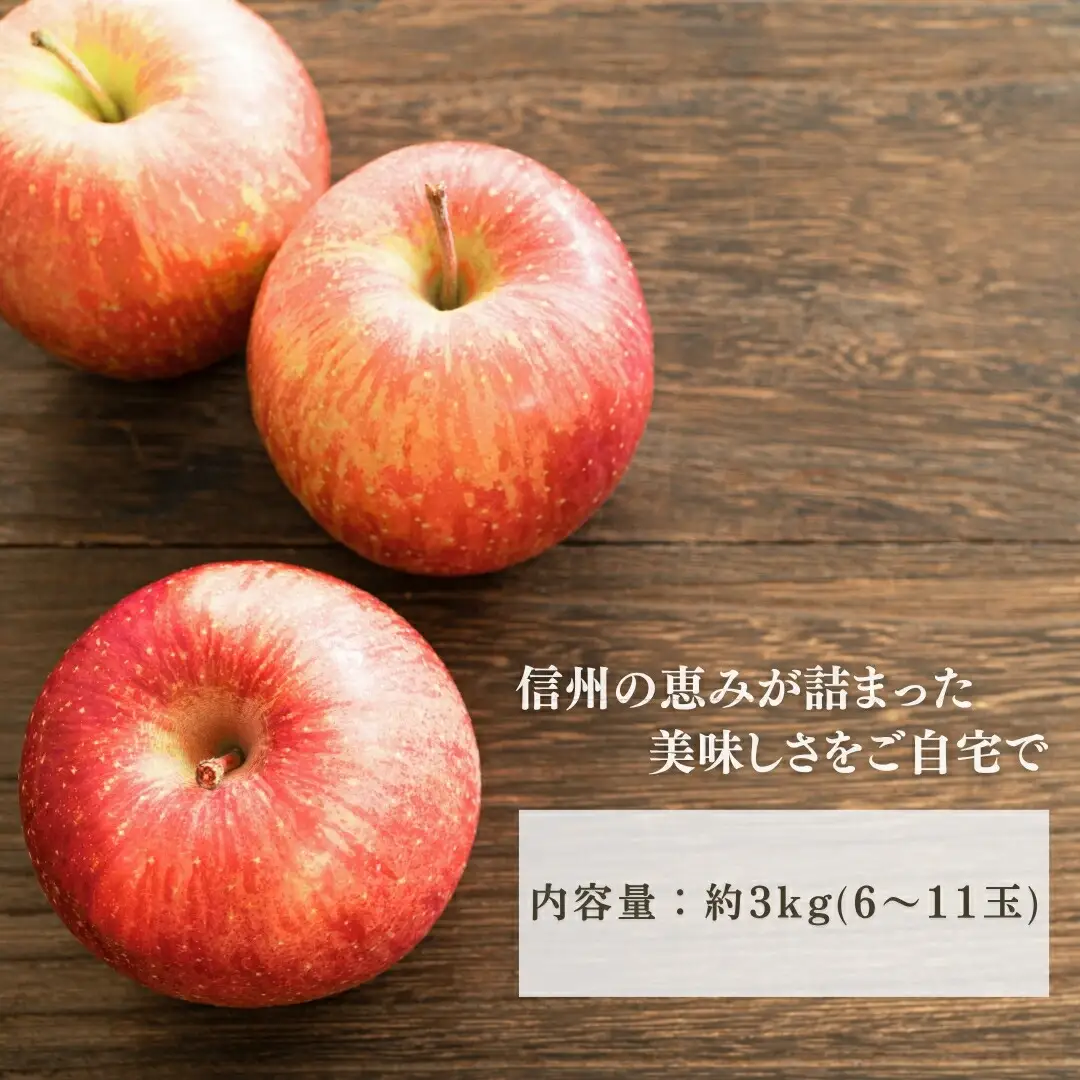 【2026年先行予約】りんご シナノドルチェ 6~11玉 約3kg|シナノドルチェ