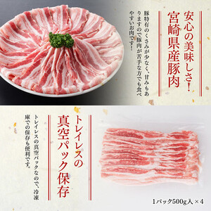 「まるみ豚」宮崎県産豚肉バスライス2kg 大活躍 使い勝手抜群 豚肉