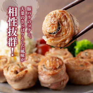 「まるみ豚」宮崎県産豚肉時短セット 簡単調理 使い勝手抜群 豚肉