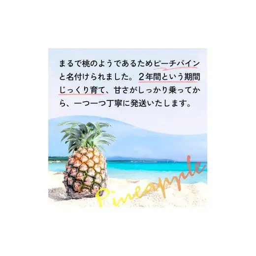 大玉ピーチパイン 6玉 約6.0kg
