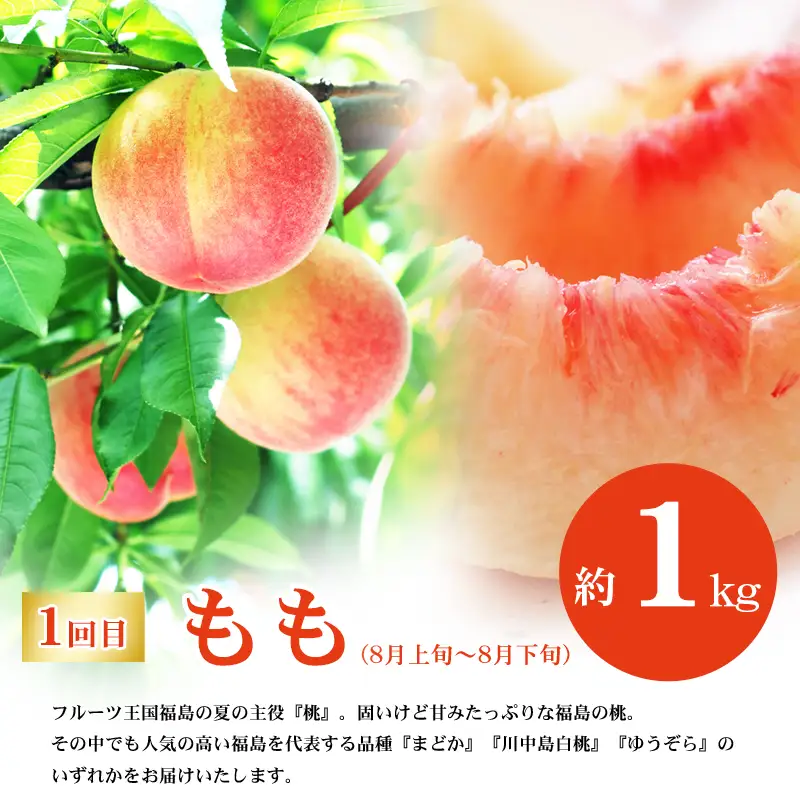No.2866福島のフルーツ定期便２種【2026年発送 先行予約】