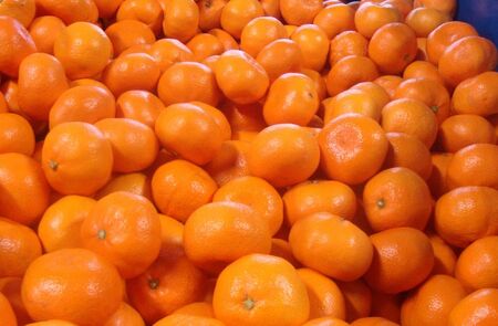 【農家直送】有田みかん 約7.5kg 大玉3L以上 有機質肥料100% ※2026年11月～12月に順次発送予定(お届け日指定不可)/みかん ミカン 温州みかん 柑橘 有田 和歌山 産地直送【nuk158D】