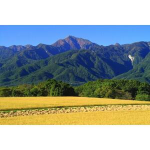 【令和7年産】山梨ふるさと米（無洗米）６kgセット