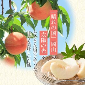2026年 先行受付 岡山県産 白桃  ロイヤル 約1kg 4～6玉 桃