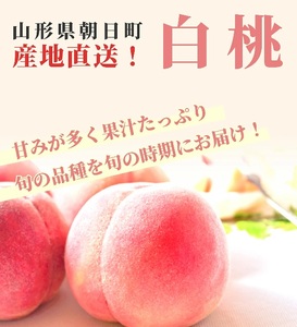 ＜先行予約＞白桃 秀品 3kg 【8月上旬～9月上旬発送】 品種おまかせ 山形県 朝日町産 フルーツ 山形産 桃 もも モモ ピーチ 果物 夏