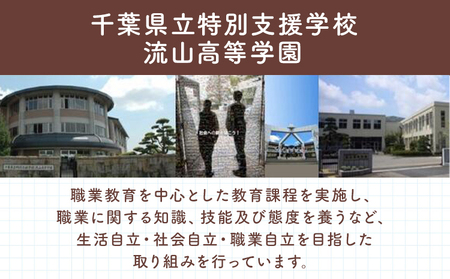 椅子 折り畳み あにまるチェア イヌ ネコ 2個 流山高等学園