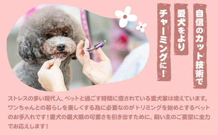 トリミング チケット 4,000円分