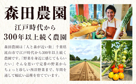 新鮮 野菜 セット ミディアムサイズ 8～10品 | 野菜セット