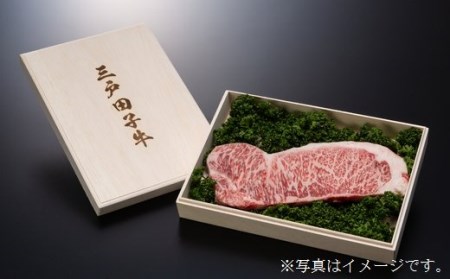 【大容量】国産和牛 豪華セット 3kg 黒毛和牛 「三戸・田子牛」
