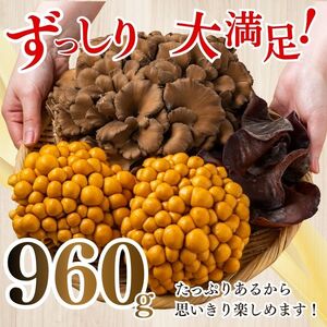 きのこ3種セット 計960g ジャンボまいたけ 500g なめこ 180g×2 きくらげ 100g【北海道きのこ品評会 最優秀賞受賞】【遠藤農産】きのこ キノコ セット 詰め合わせ 舞茸 滑子 木耳 国産 北海道産 北海道 比布町 ぴっぷ 1002-002