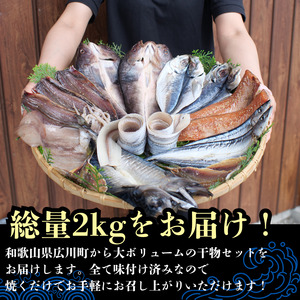 『総重量約２kg！』９種１８点盛 きのくに干物セット / 父の日 干物 お取り寄せ グルメ 冷凍 クール 低塩 開き 一夜干し みりん干し 湯浅湾 湯浅醤油 真あじ アジ 太刀魚 ほっけ ホッケ サンマ イカ 鯖 サバ 魚 海鮮 魚介 海の幸【knk248-9A】