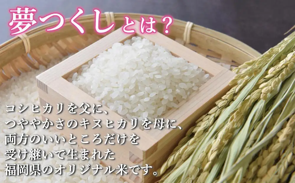 令和7年米 福岡県産 米 【無洗米】金のめし丸夢つくし 5kg | 無洗米 5kg お米 こめ 白米 ライス ブランド米