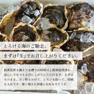 訳あり 岩がき 大サイズ 4kg前後 生食用 ： 牡蠣 殻付き牡蠣