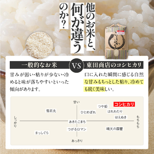 コシヒカリ 10kg 白米 令和７年産 精米 白米【スピード発送】