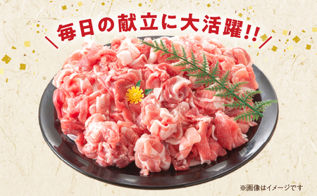 豚こま切れ 計1.5kg お肉 豚肉 小間切れ 豚こま ポーク 食品 スライス 切落し おかず お弁当 おつまみ 万能食材 国産 宮崎県産 焼肉 カレー 豚丼 豚汁 炒め物 大容量 小分け お祝い 記念日 ギフト おすすめ お取り寄せ グルメ 冷凍 宮崎県 日南市 送料無料_AA56-24