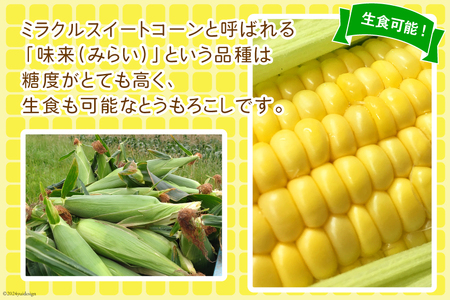 【期間限定発送】【糖度平均18度以上】とうもろこし 朝どれミラクルスイートコーン「味来」5kg箱 10～13本 [桑高農園 静岡県 吉田町 22424254]